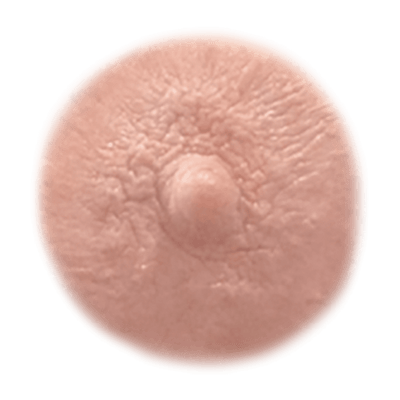 Ivory temporary nipple tattoo shade