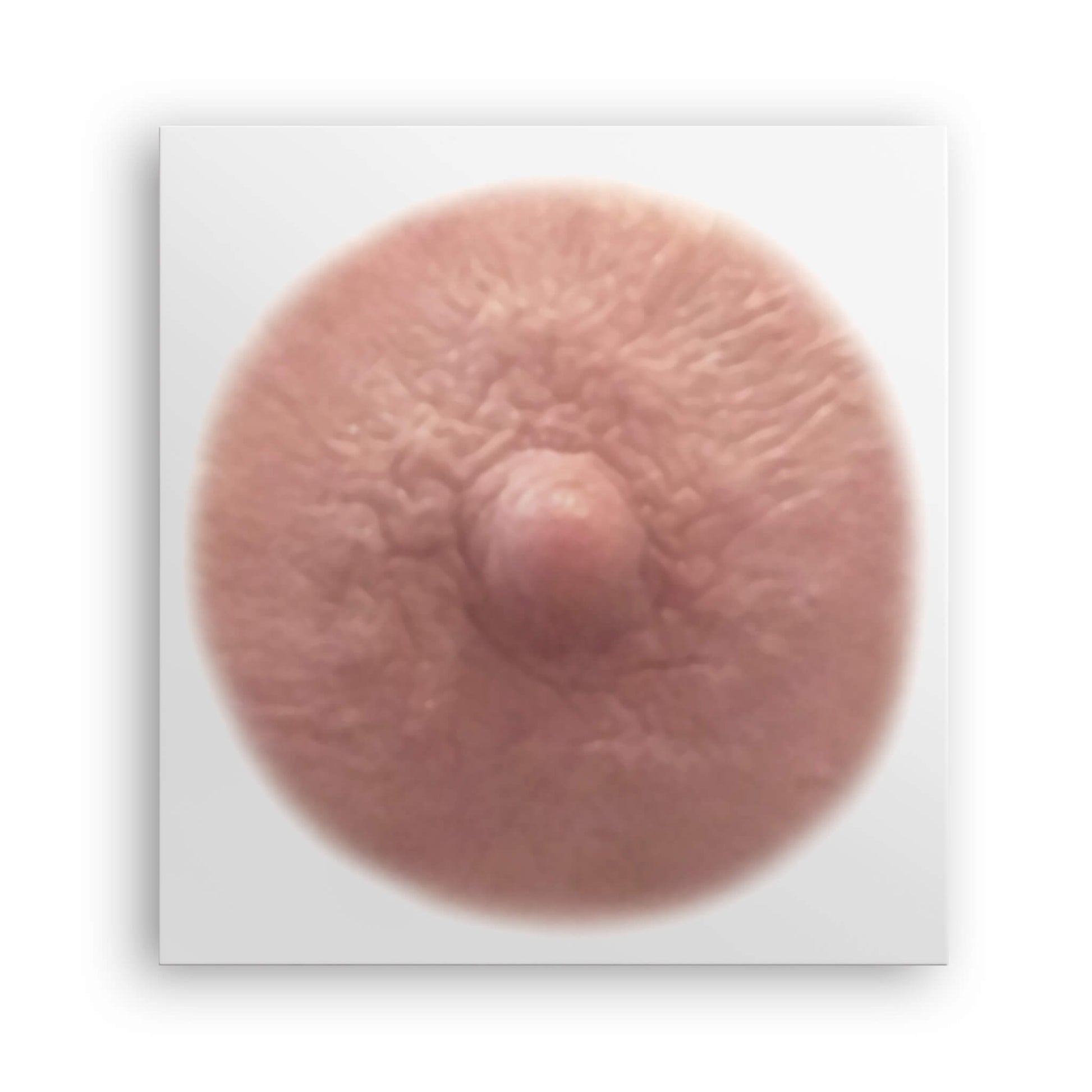Auburn shade post mastectomy temporary nipple tattoo due to breast cancer