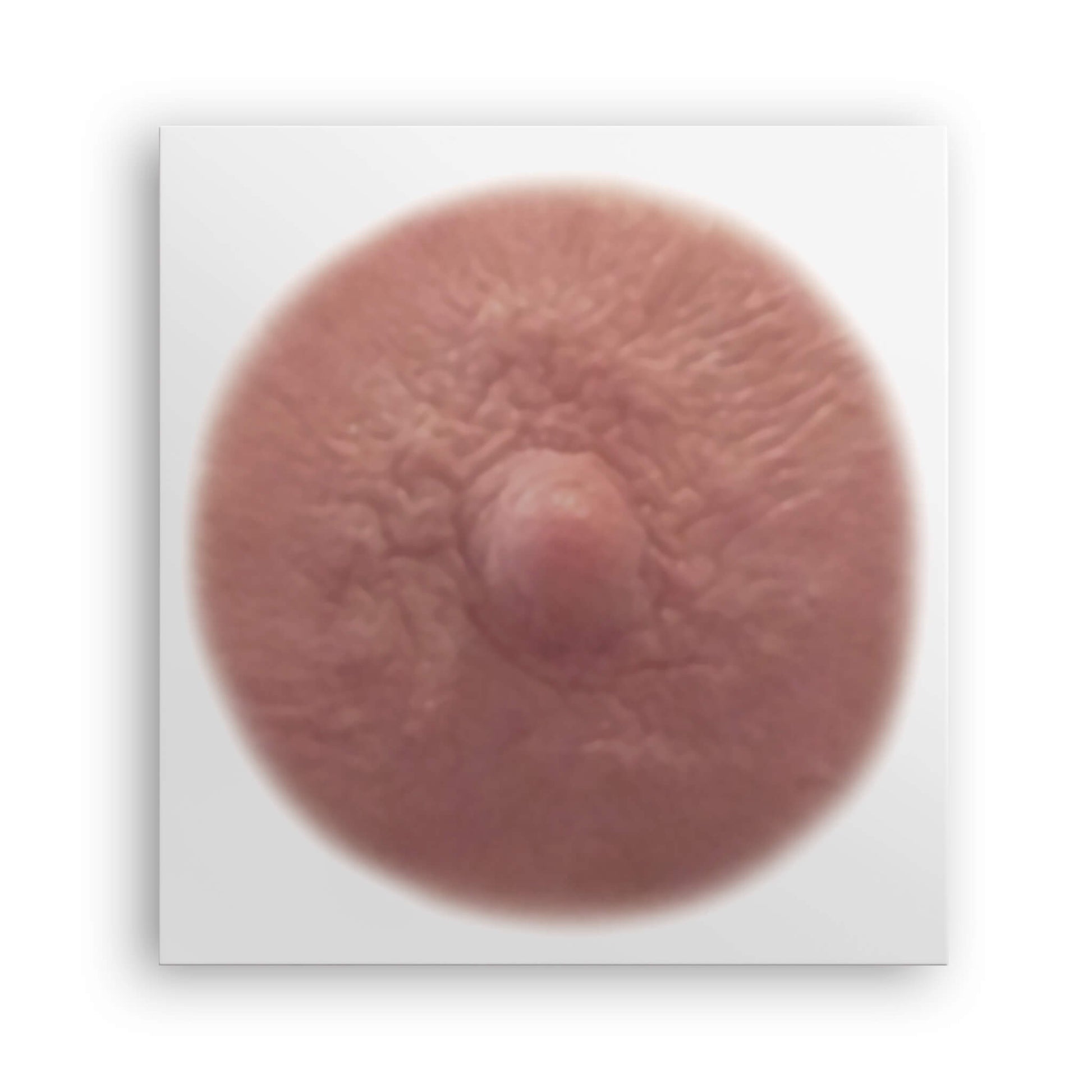 Ginger shade post mastectomy temporary nipple tattoo due to breast cancer