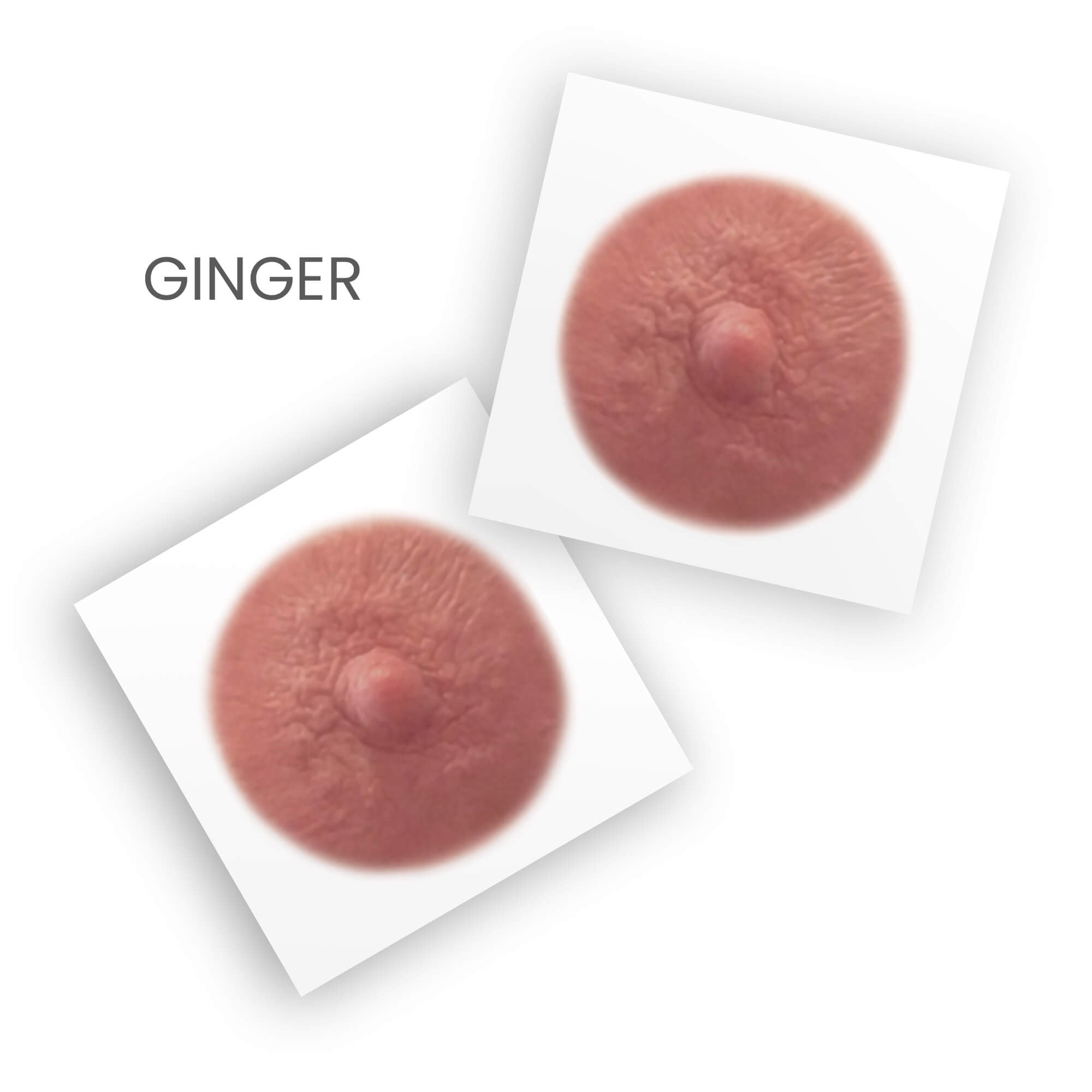 Pair of post mastectomy temporary nipple tattoos  for women who've undergone mastectomies due to breast cancer in ginger shade