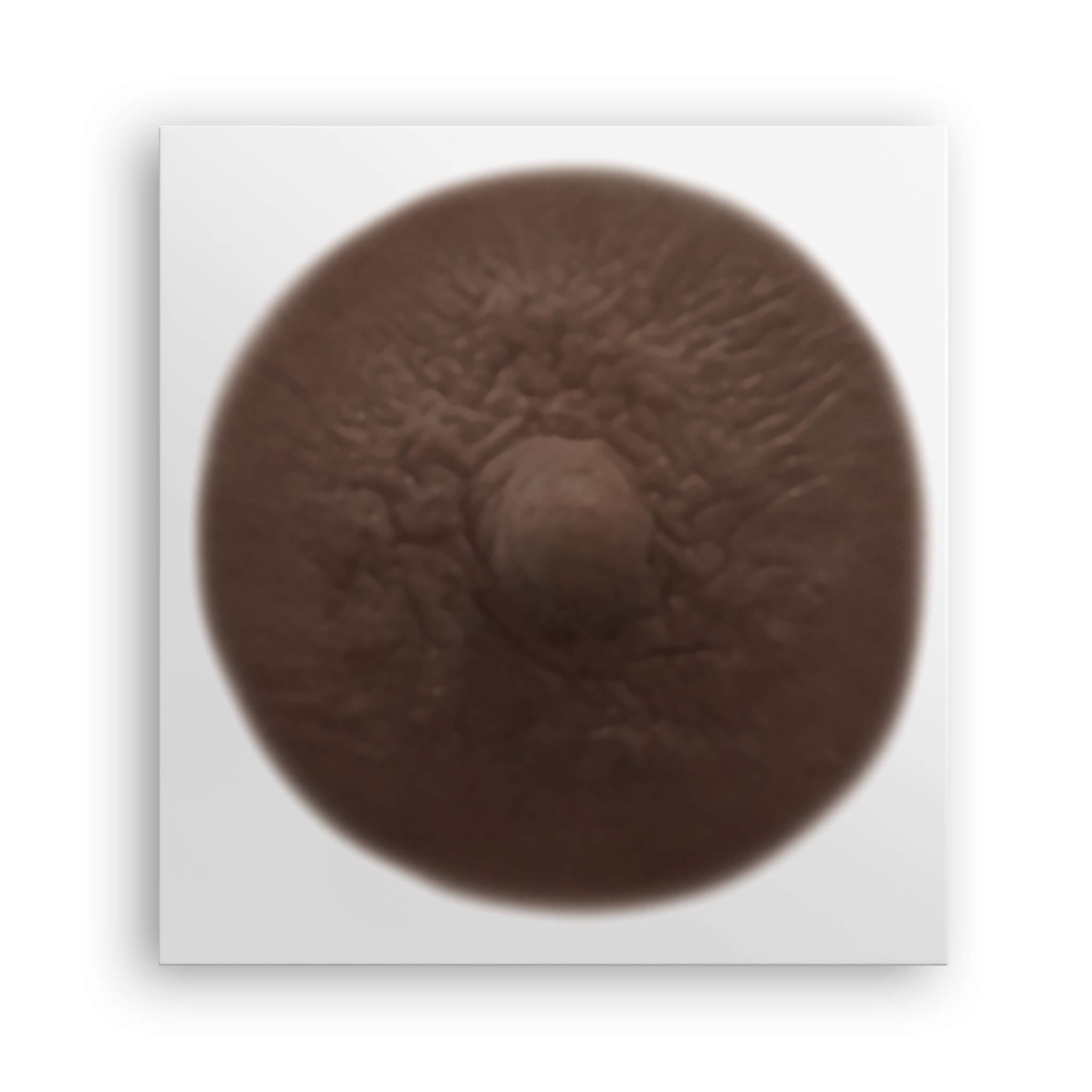 Mahogany shade post mastectomy temporary nipple tattoo due to breast cancer