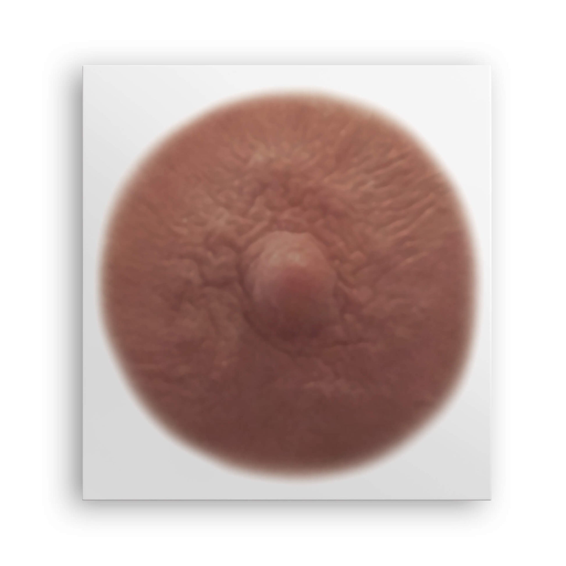 Olive shade post mastectomy temporary nipple tattoo due to breast cancer