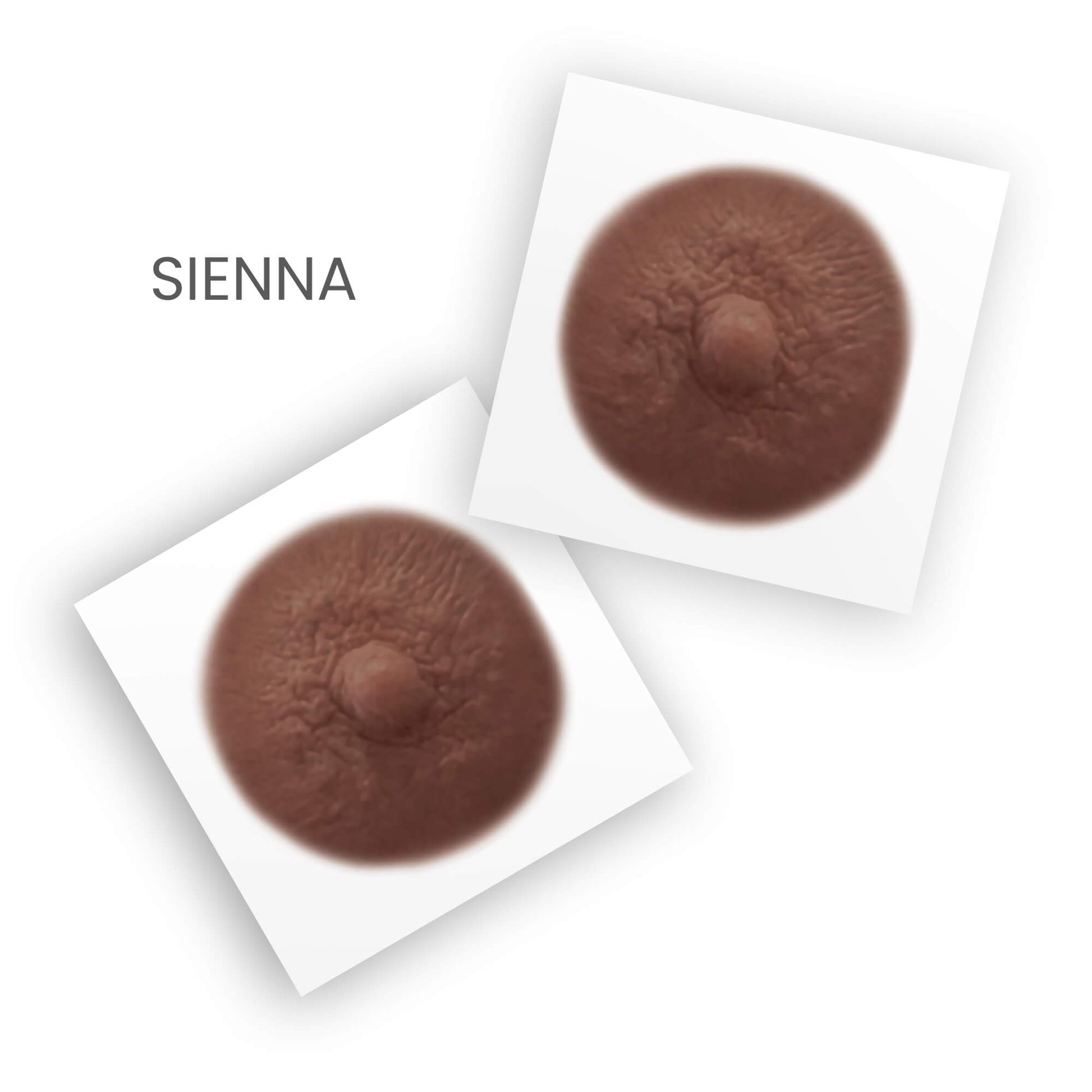 Pair of post mastectomy temporary nipple tattoos  for women who've undergone mastectomies due to breast cancer in sienna shade