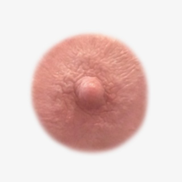 Auburn temporary nipple tattoo