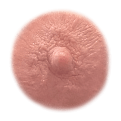 Auburn temporary nipple tattoo shade