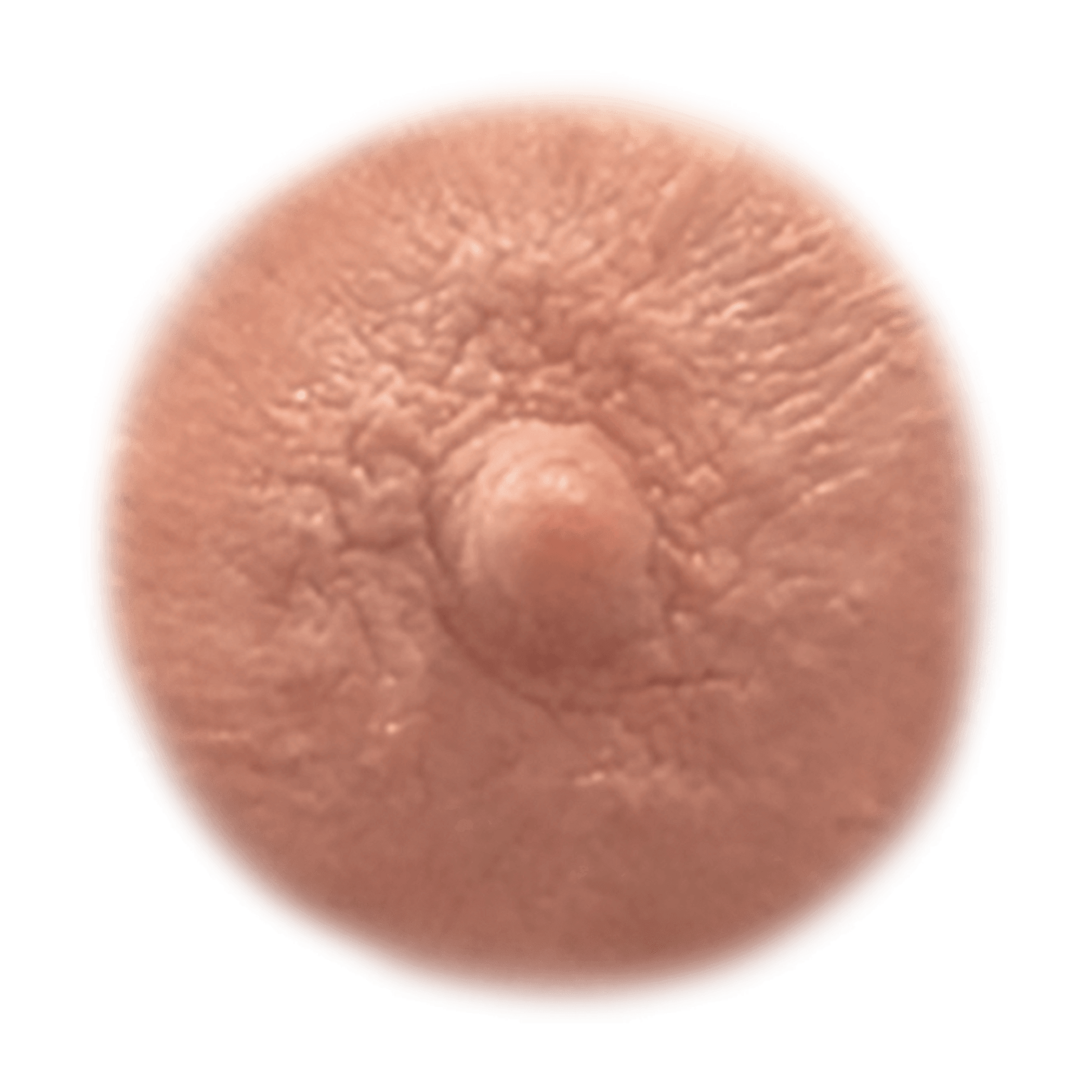 CREAM - Temporary Nipple Tattoos