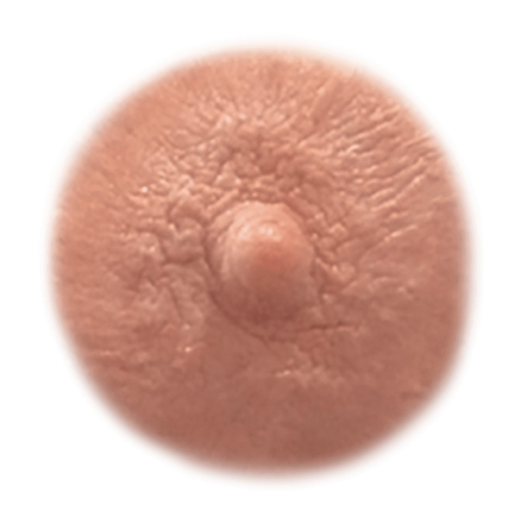 CREAM - Temporary Nipple Tattoos