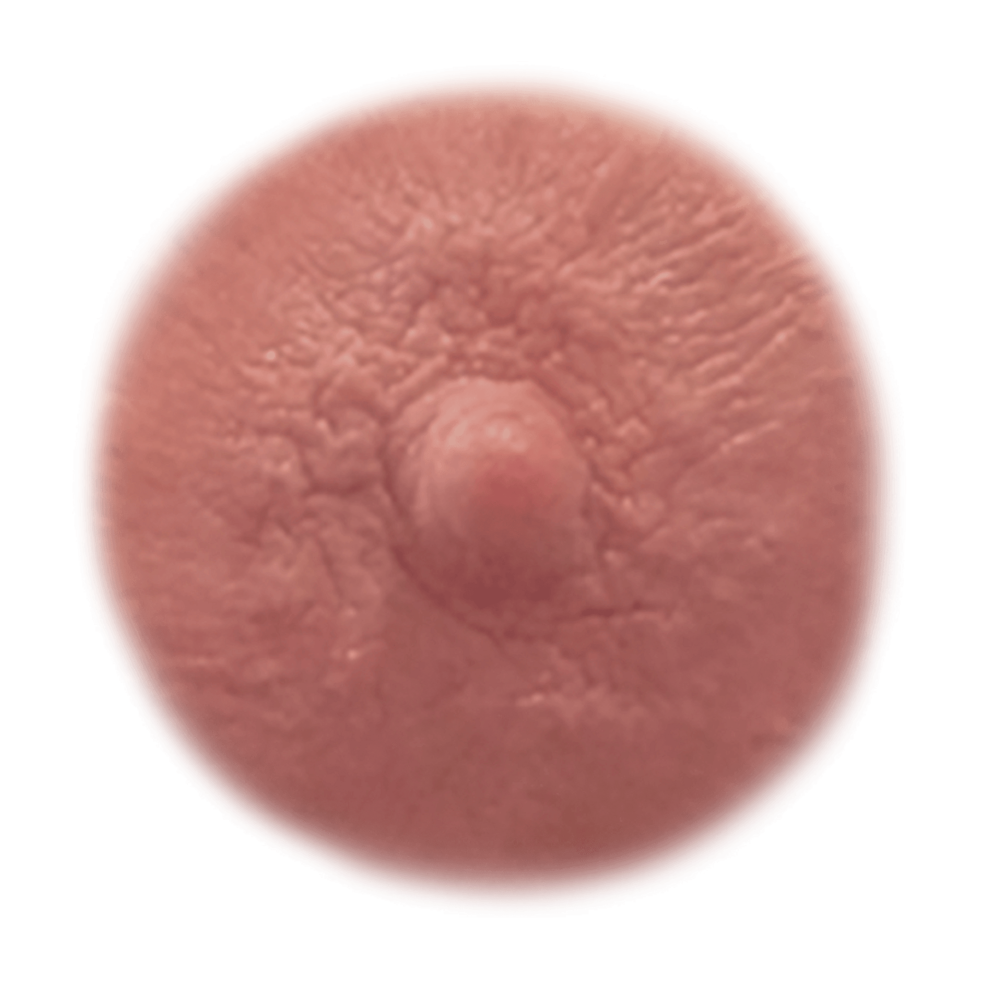 GINGER - Temporary Nipple Tattoos