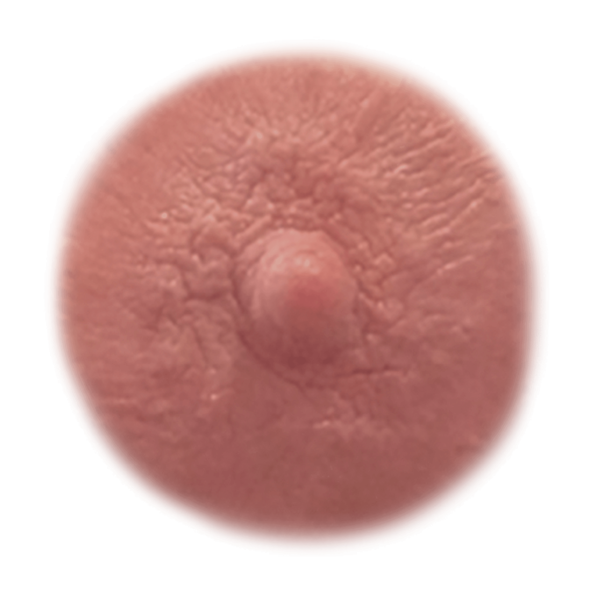 GINGER - Temporary Nipple Tattoos