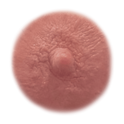 Ginger temporary nipple tattoo shade