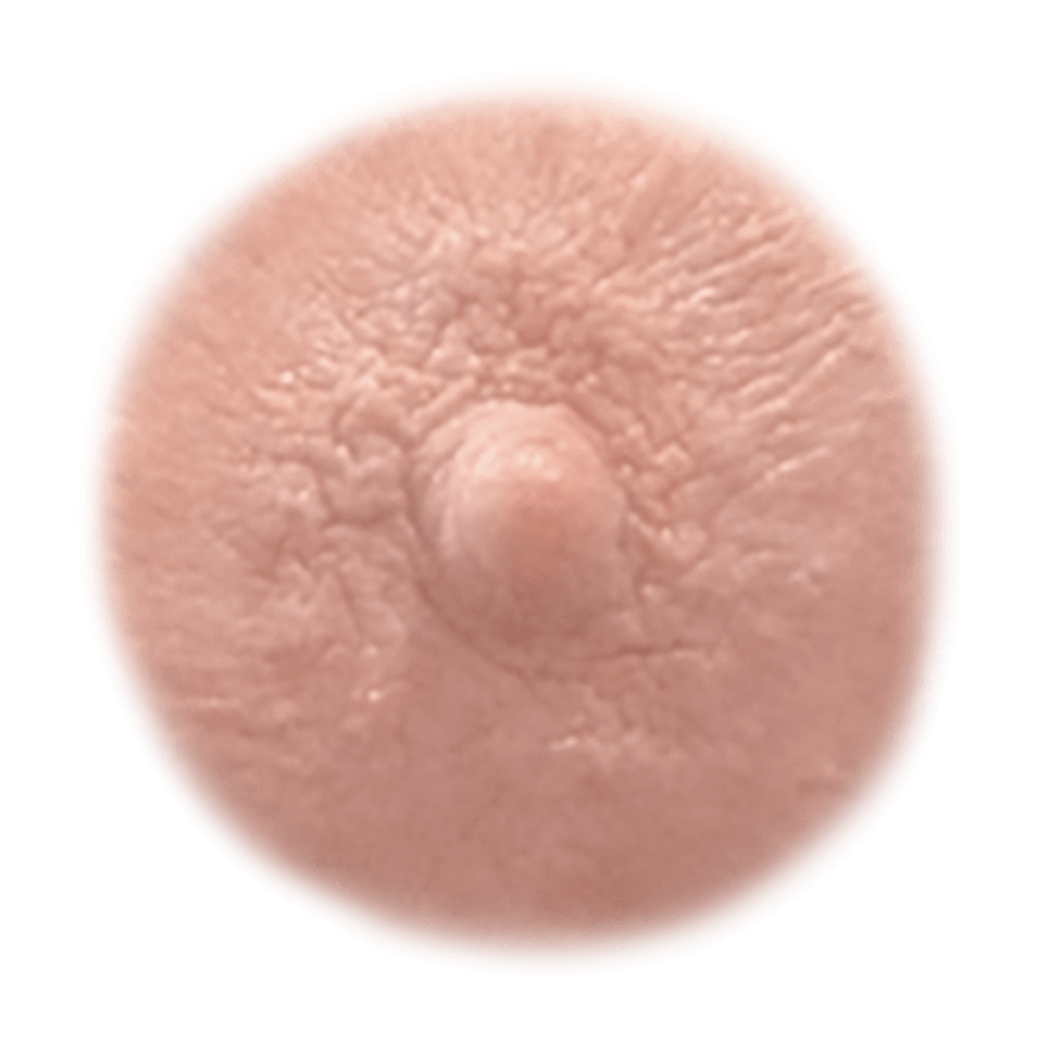 IVORY - Temporary Nipple Tattoos