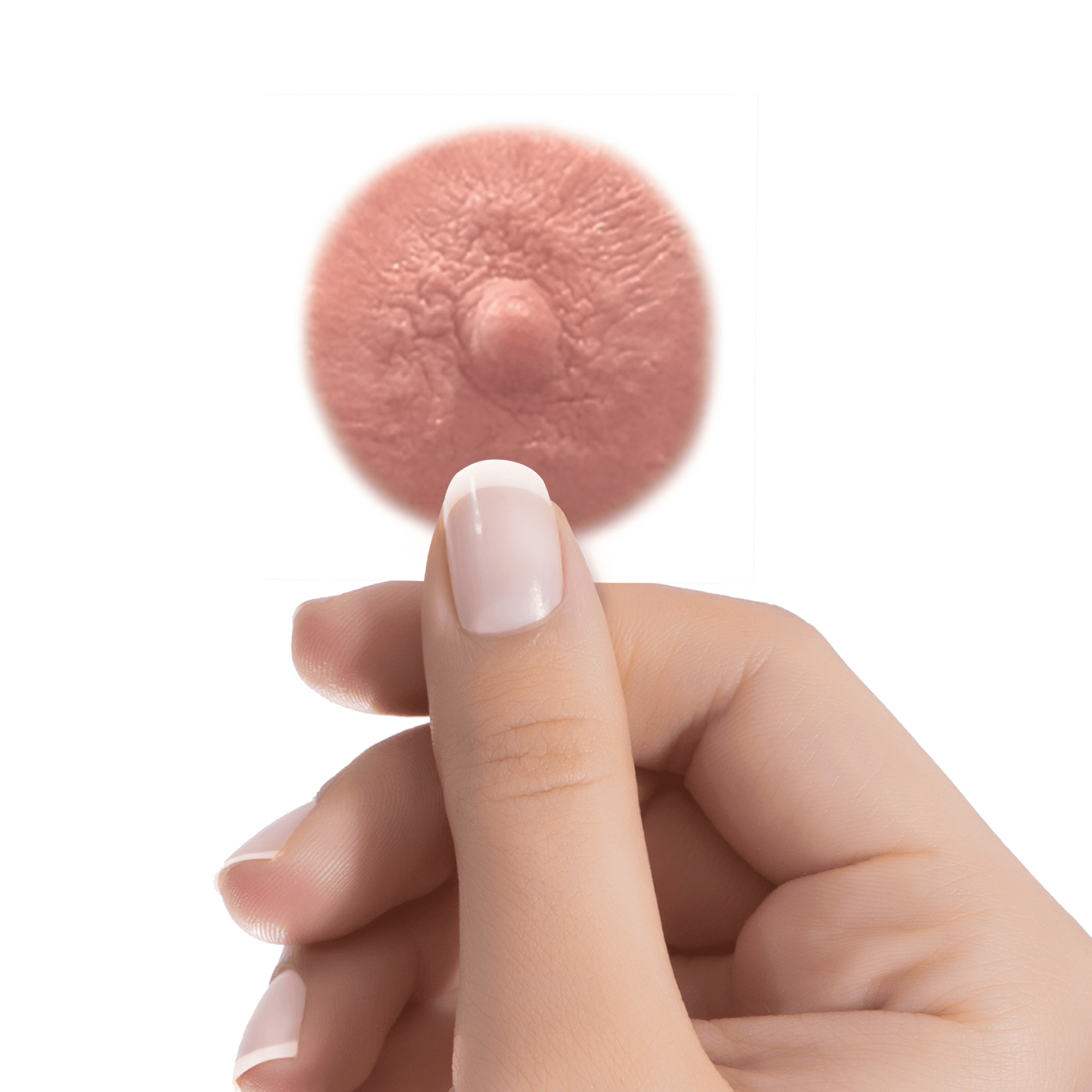 AUBURN – Temporary Nipple Tattoos