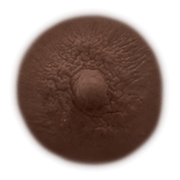 MAHOGANY - Temporary Nipple Tattoos