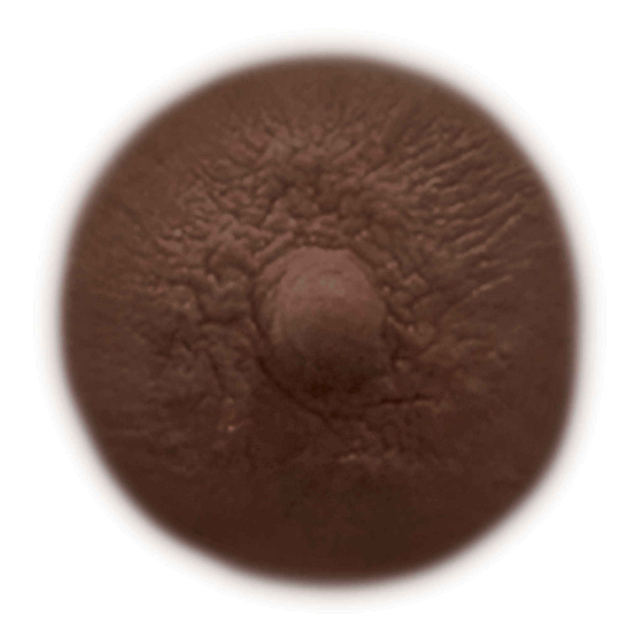 MAHOGANY - Temporary Nipple Tattoos