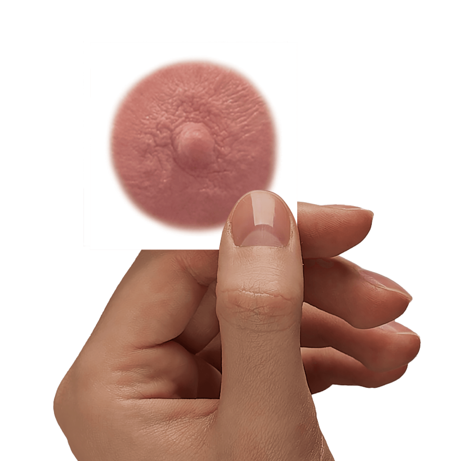 GINGER - Temporary Nipple Tattoos