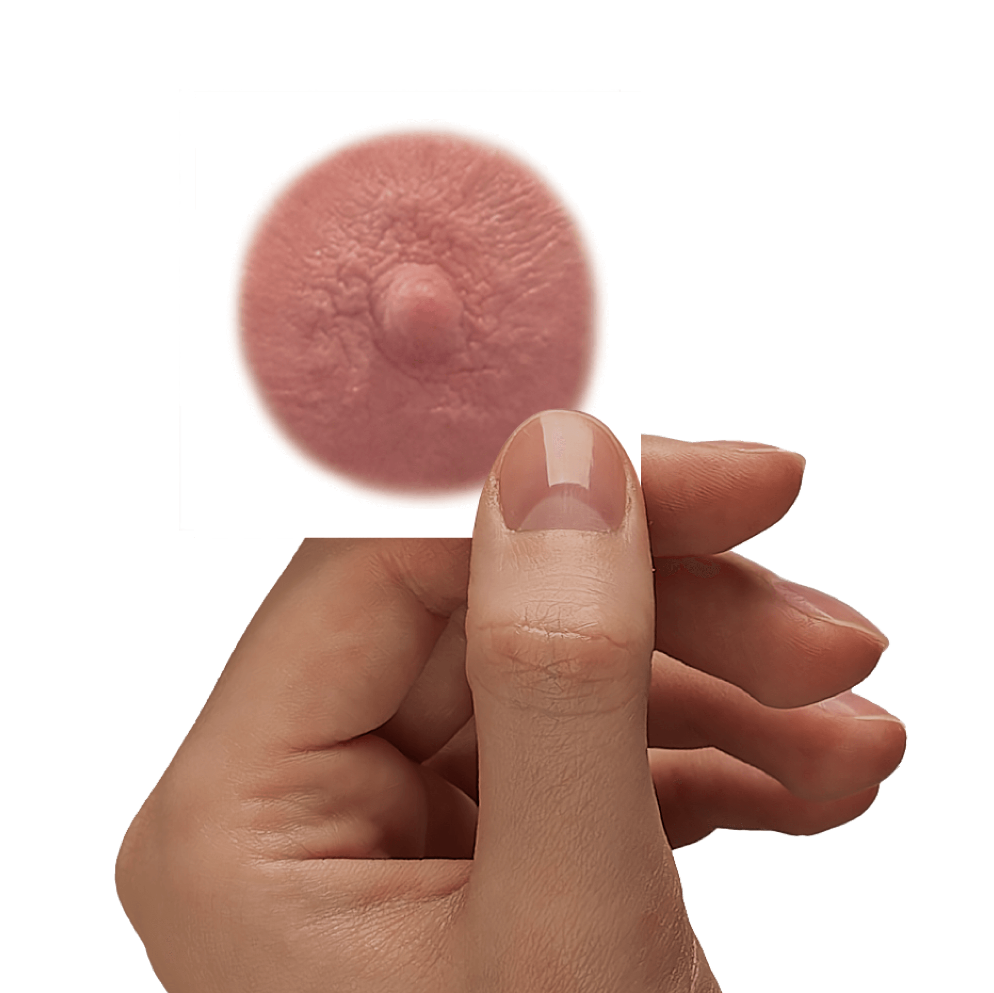 GINGER - Temporary Nipple Tattoos