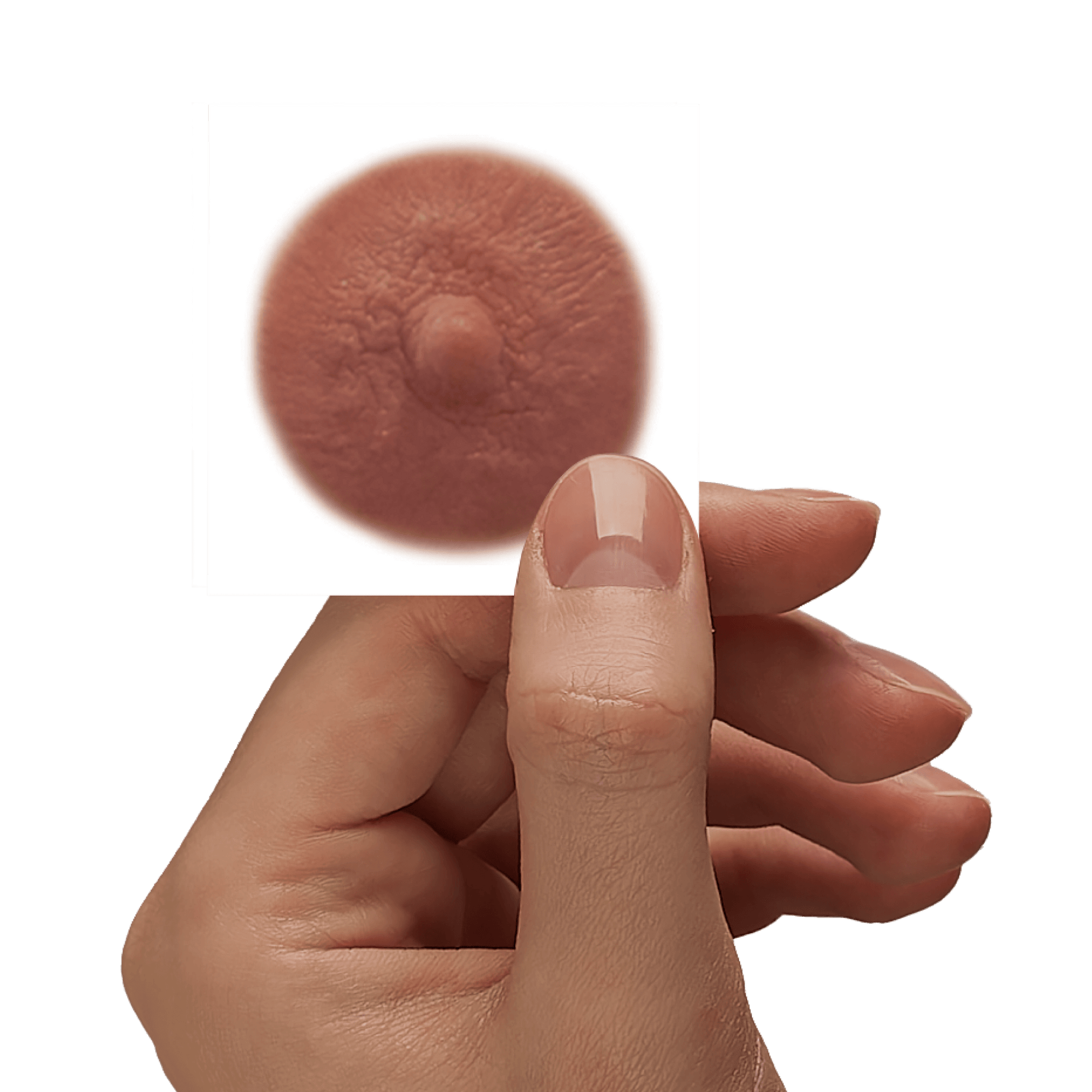 OLIVE - Temporary Nipple Tattoos