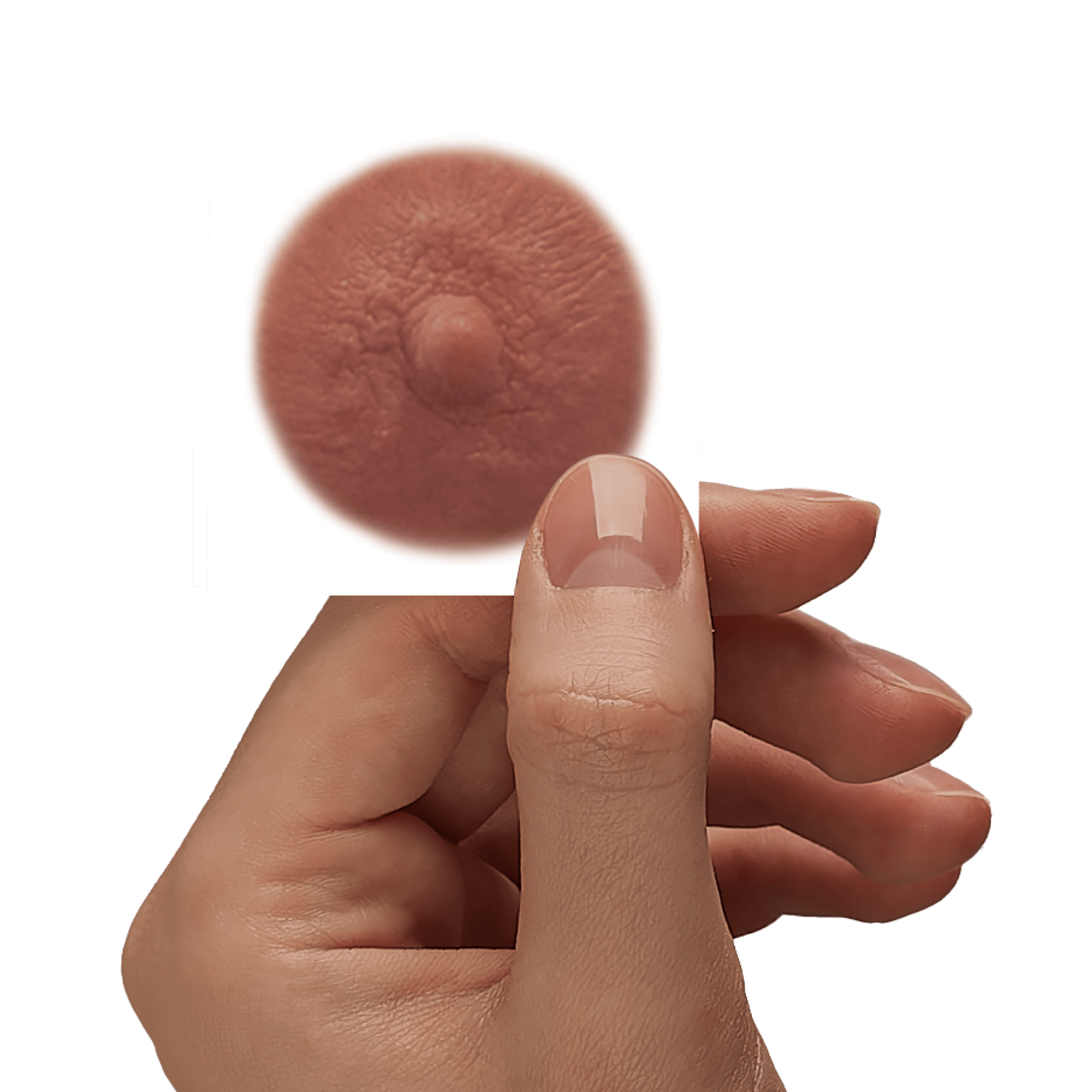 OLIVE - Temporary Nipple Tattoos