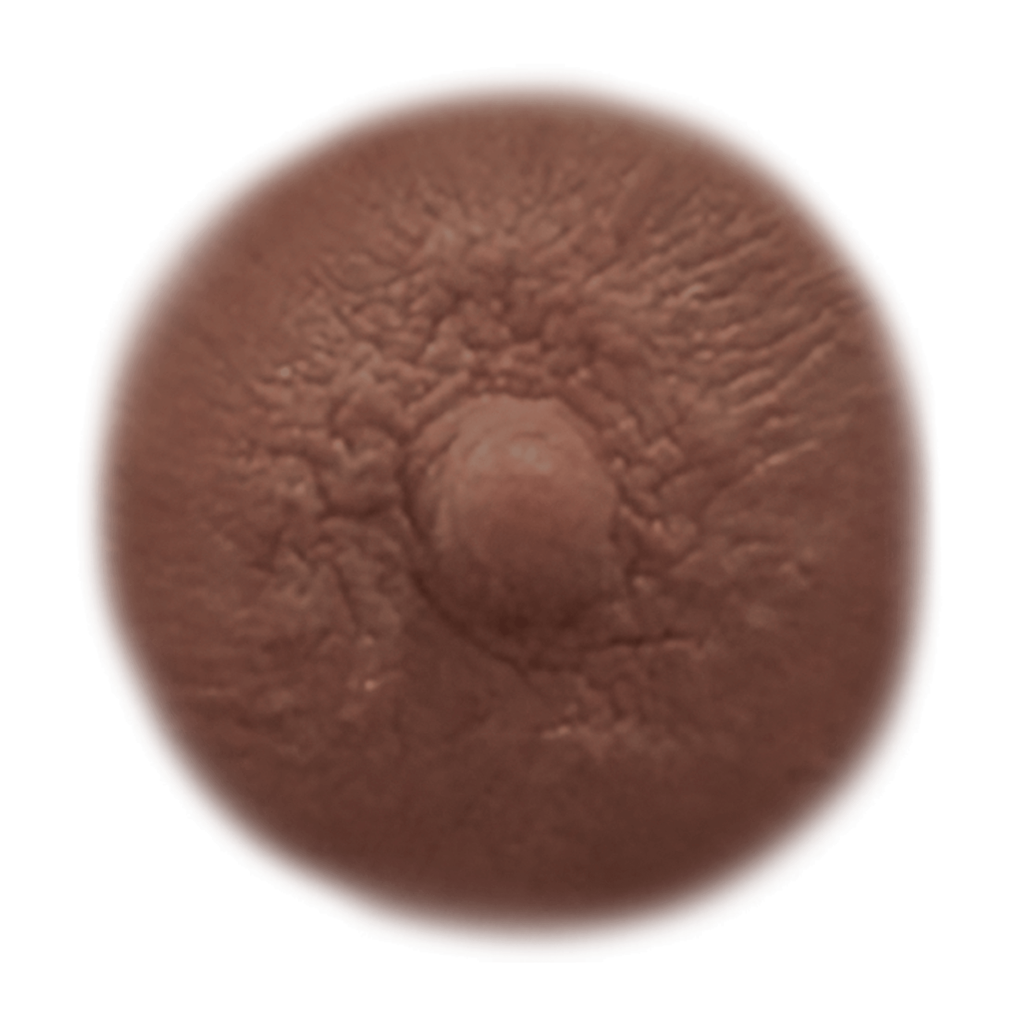 SIENNA – Temporary Nipple Tattoos