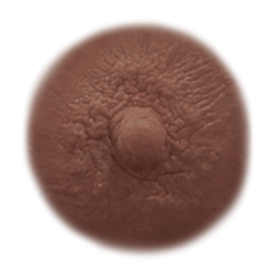 Sienna temporary nipple tattoo shade